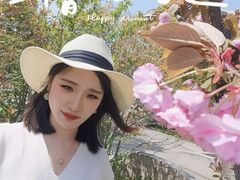 -新江湾城公园