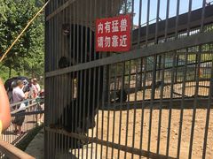 -栾川竹海野生动物园