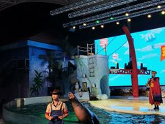 -三亚海昌梦幻海洋不夜城