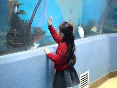 -合肥海洋世界