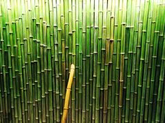 -二荆条·蜀鲜汇城市森林火锅