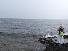 -涉地可支