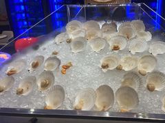 -马哥孛罗酒店·SAVVY全日餐厅