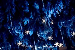 -青岛sunny喜铺婚礼策划(名汇国际店)