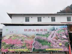 -灵光寺