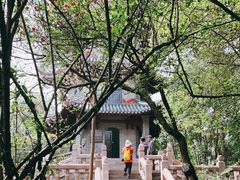 -成都杜甫草堂博物馆