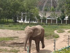 -哈尔滨北方森林动物园