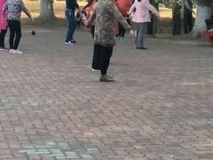 -中央公园(苏州工业园区)