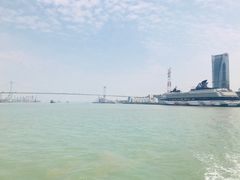 -国际邮轮中心码头(厦鼓码头)