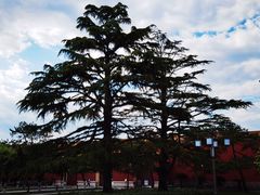 -北京市劳动人民文化宫(太庙)