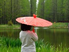 -黄海国家森林公园