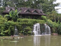 -中国科学院西双版纳热带植物园