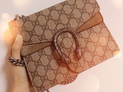 -Gucci(沈阳万象城店)