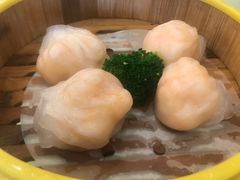 灿记鲜虾饺-新灿记大酒楼