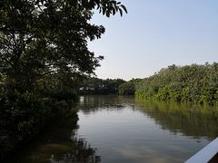 -大湾区中央湿地公园