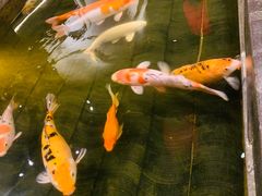 -唐山宴百姓府邸院落中餐