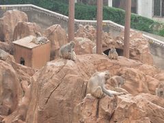 -昆明动物园