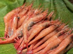 -亚马逊蒸汽活海鲜自助(长宁来福士店)