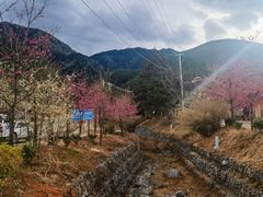 -丽江泸沽湖景区