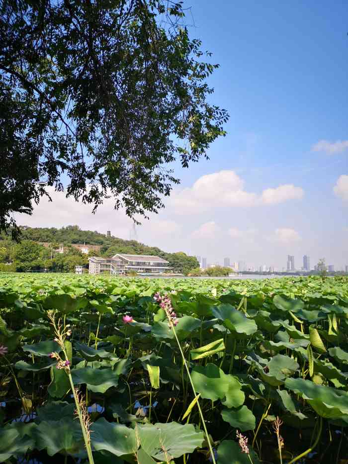 宁安玄武湖公园图片