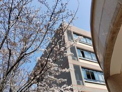 -金陵中学(河西分校)