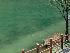 -百里山水画廊