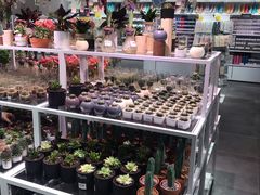 -KKV(深圳宏发大仟里店)