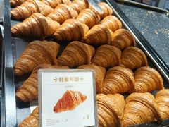 -月枫堂(长春这有山店)