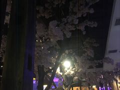 -蜜桃餐厅·江浙融合菜(荟聚购物中心店)