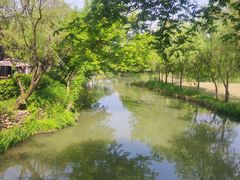 -西溪国家湿地公园