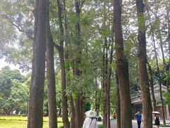 -南宁南湖公园