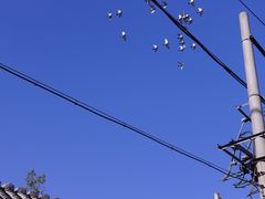 -齐白石旧居纪念馆