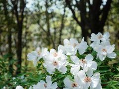 -洛阳市隋唐城遗址植物园
