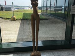 -米兰马尔彭萨国际机场