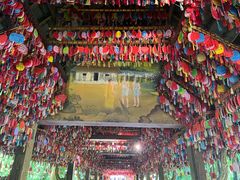 -西双版纳傣族园