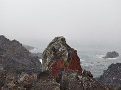-涉地可支