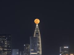 -深圳湾公园(南山区)