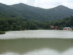 -大姆山草场