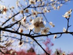 -长广溪湿地公园