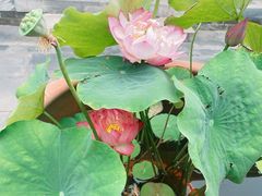 -李叔同故居纪念馆