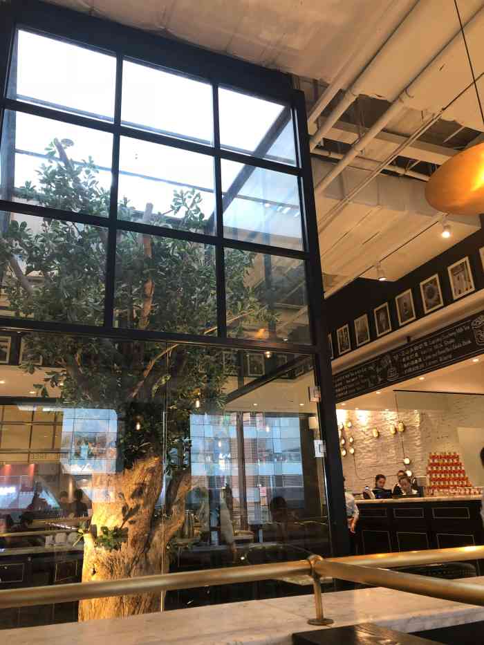 大树餐厅(柏威年购物广场店)-"柏威年五楼 门口看见去有一颗很大的