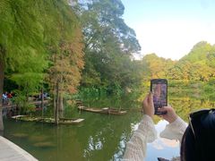 -深圳仙湖植物园