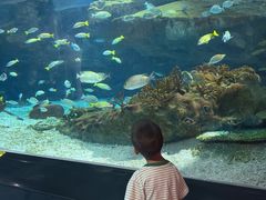 -海合安武汉极地海洋公园