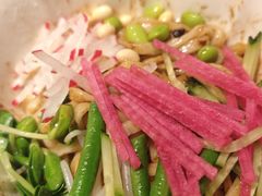 -秀儿四九城·新京菜(亚运村鸟巢店)