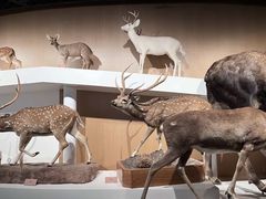 -陕西自然博物馆