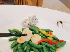 彩椒炒带子-朱仔记食府(江南大道店)