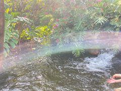-厦门园林博览苑