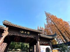-上海醉白池公园