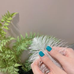 -LR HOUSE美甲美睫