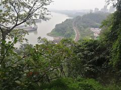 -大渡口区义渡公园